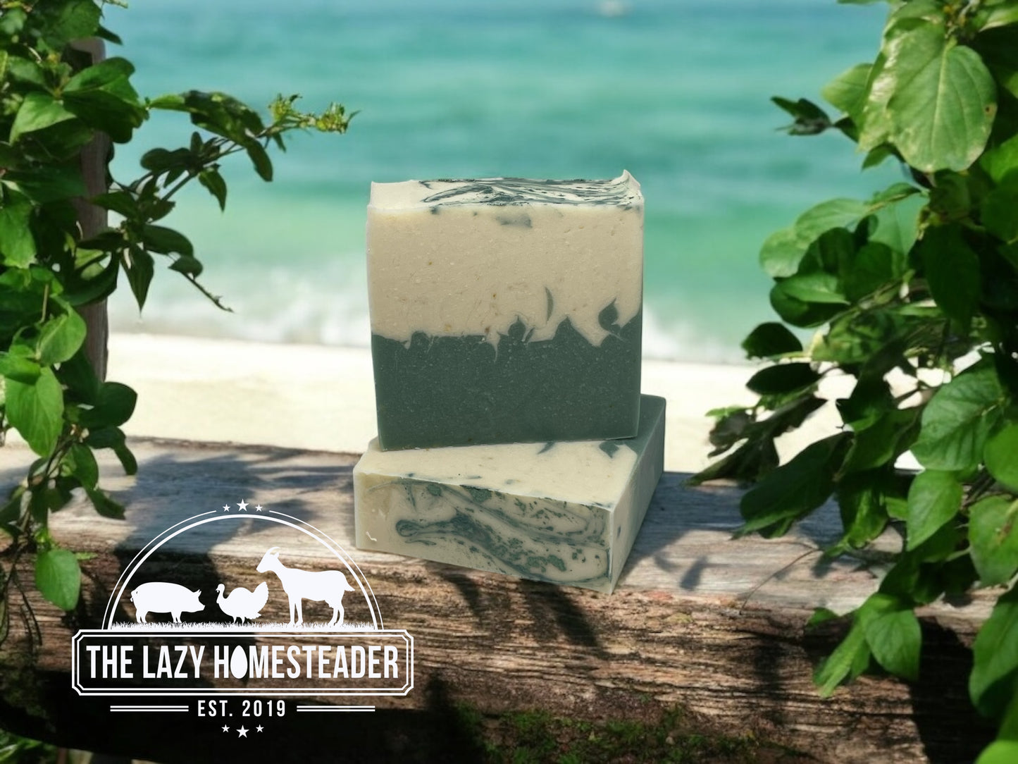 Ocean Water