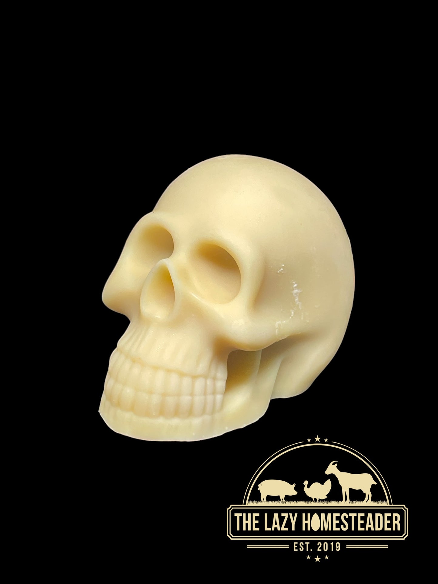 Skull