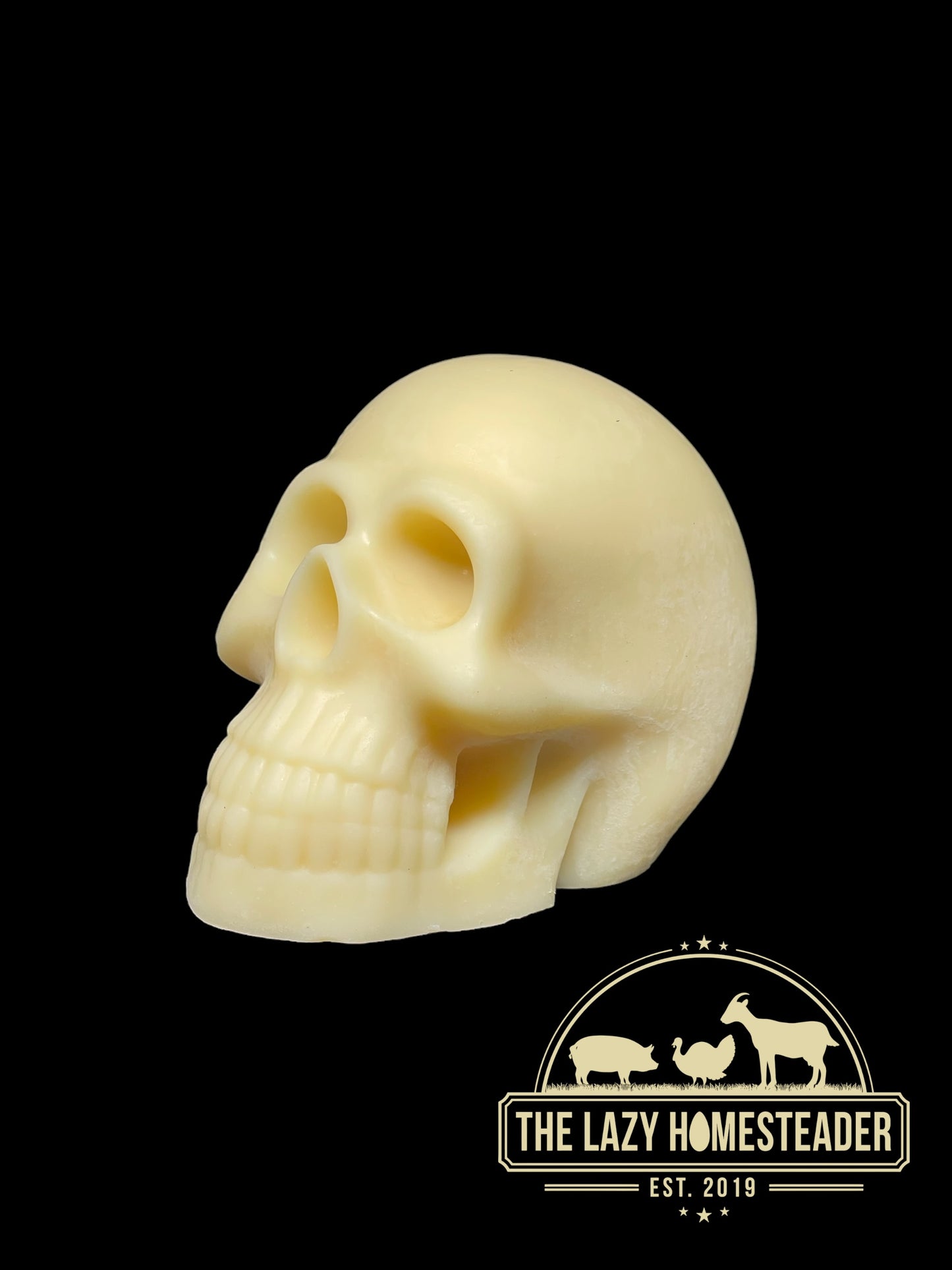 Skull