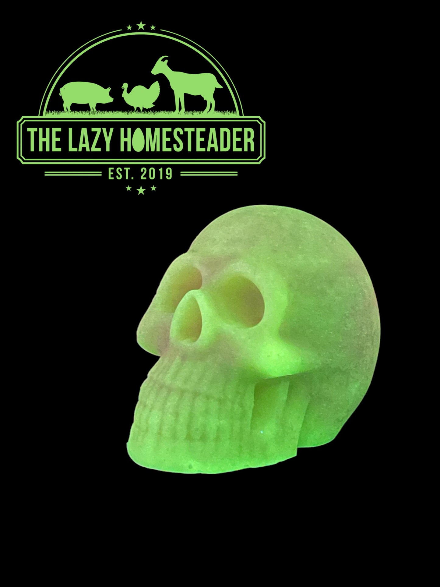 Skull