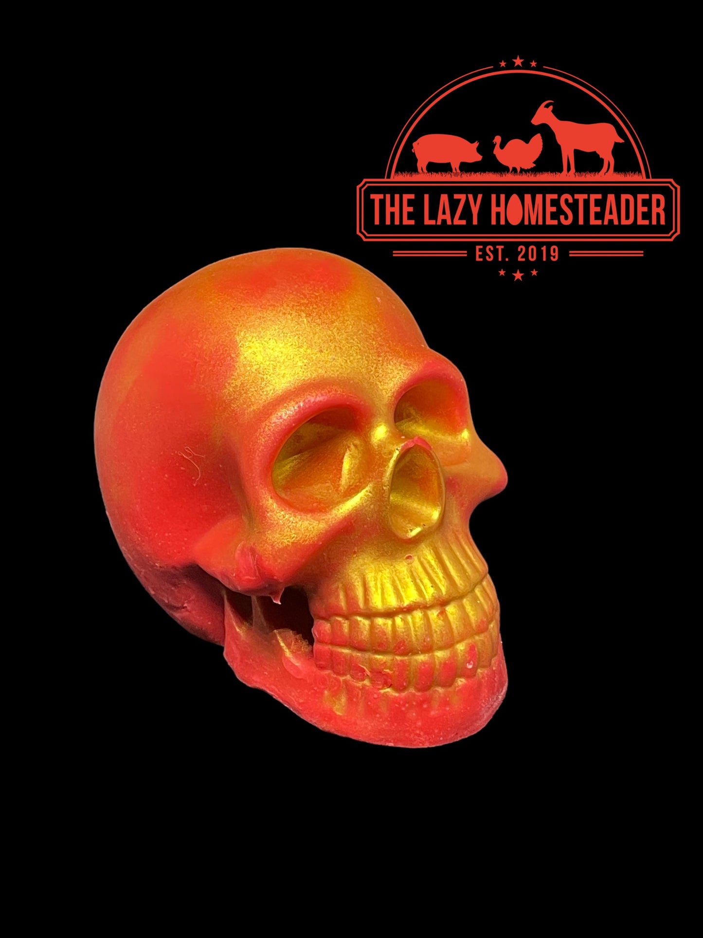 Skull