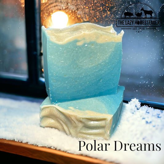 Polar Dreams