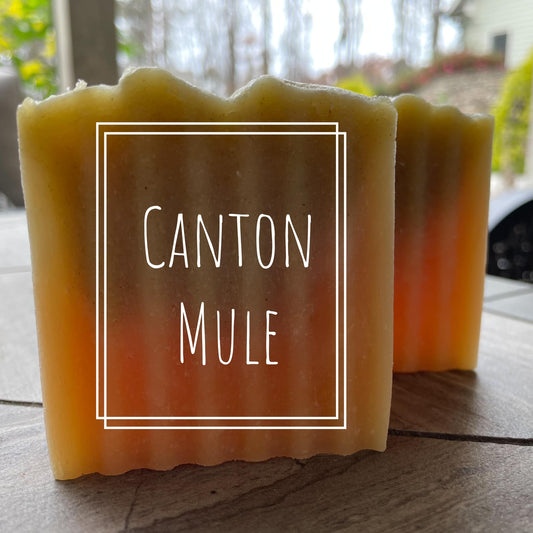 Canton Mule